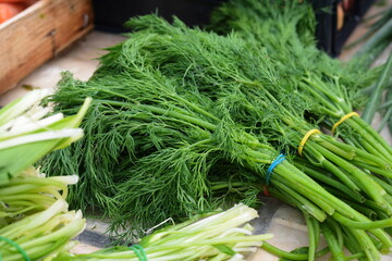 Fresh herbs, dill on the market.
