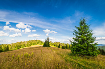 Góry Gorce,, pejzaż z zielonymi łąkami © photogam