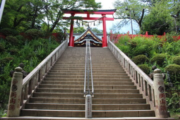 Fototapeta na wymiar 神社の境内の階段