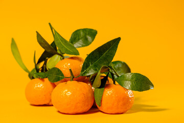 small ripe tangerines with green leaves on a yellow background