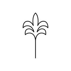 Simple line icon palm tree vector illustration