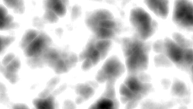 Black and white color dark glow posterized fractal noise animation. Beauty 2D computer rendering