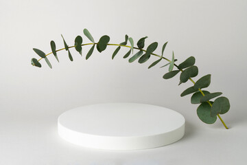 Empty white round podium and green eucalyptus branch on light grey background. Showcase for product...