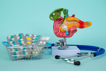 pancreas and stethoscope with a basket of pills lies on a blue background