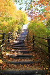 山道の遊歩道の階段とオータムリーフ