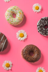 Different donuts coated with a chocolate and white frosting isolated on a pink background with chamomile flowers.