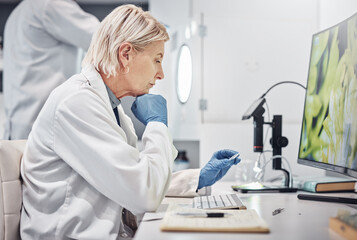 Science, research and sample in lab with a doctor woman working on scientific analysis. Experiment,...