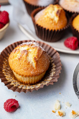 Homemade sweet muffins with fresh berries. Close up sweet treat.