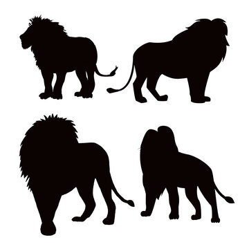 Vector silhouette of a lion
