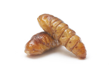Fast food and snacks in Thailand fried chrysalis worms isolated white background.