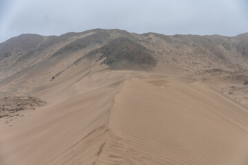 sand dune in the desert in nature