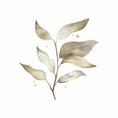 Dried autumn leaves isolated on white background. Botanical poster design. 