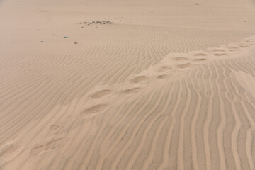 Fototapeta na wymiar shoe prints on sand dune