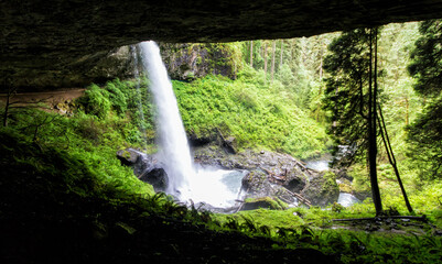 waterfall in the forest - 09