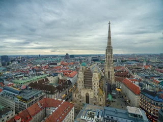 Deurstickers St. Stephen's Cathedral in Vienna, Austria. Roof and Cityscape in Background. © Mindaugas Dulinskas