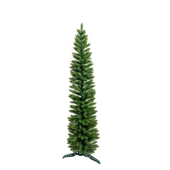 Unadorned Christmas tree isolated on white