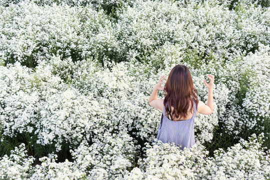 beautiful girl is having fun in beautiful blooming field of Margaret flower in flower garden and flower garden is also popular for tourists to take photos as souvenir when traveling in Chiang Mai.