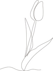 Tulip flower black white continuous line drawing one line art. Vector illustration