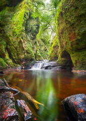 waterfall in the forest