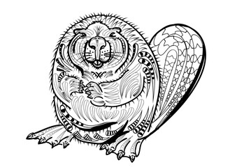 beaver illustration