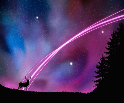 Bautiful Purple Aurora With Silhouette Forest And Deer