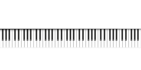 Realistic piano keys. Musical instrument keyboard. Vector