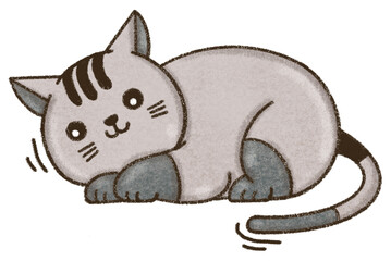cartoon cat, cute cat, hand drawn, PNG