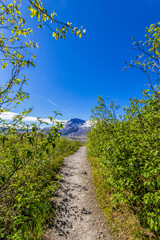 Trail in the mountains - 01