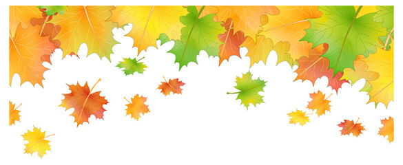 Herbst Blätter Hintergrund Banner