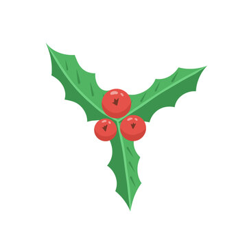 Holly tree with berries. Vector Illustration for printing, backgrounds, covers and packaging. Image can be used for greeting cards, posters, stickers and textile. Isolated on white background.