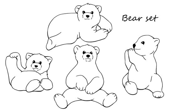 Set of drawn bears. Bear cub. Silhouette. Line art. Wild animals. Arctic. White polar bear. Clip art. Liner. Elements for decor. Zoo. Logo. Tattoo.