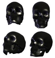 skull, human skeleton