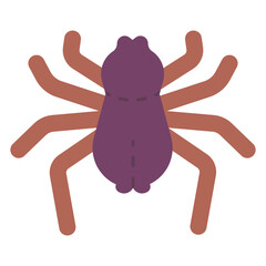 spider illustration