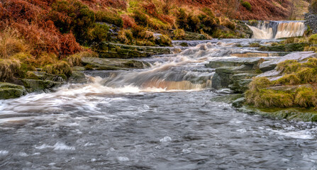 waterfall in the forest