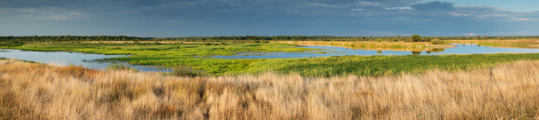 Fototapeta na wymiar Pastoral landscape on the banks of the river in Belarus