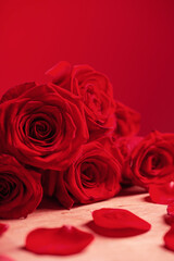 bouquet of red roses on red background