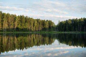 Fototapeta na wymiar Lake in the forest