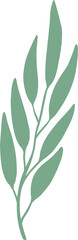 Obraz premium simplicity floral freehand drawing.