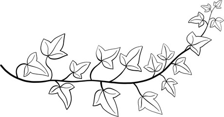 Simplicity ivy freehand drawing flat design.