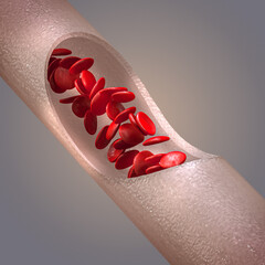 Medical background, erythrocyte blood flow red blood cells in a living organism, 3d rendering