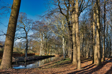 Rows of bare trees along water in the park of a country manor in the north of the Netherlands on a sunny winter day, the trees casting long shadows. Menkemaborg, Uithuizen, Groningen
