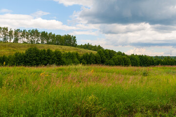 High hay grass against the background of hills and trees. Summer landscape.