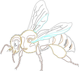 vector sketch illustration of a flying bee with feather details