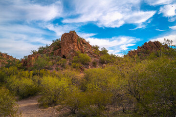 Fototapeta na wymiar Saguaro National Park Hiking Trail Landscape Series, Tucson Mountain Gates Pass Scenic Lookout in Tucson, Arizona, USA
