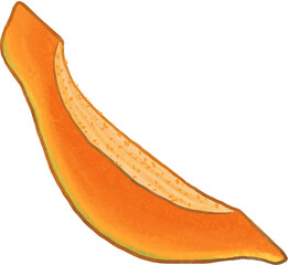 slice of papaya illistration 02