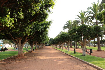 Obraz premium alley in the park