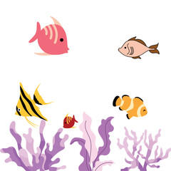 Aquarium fish