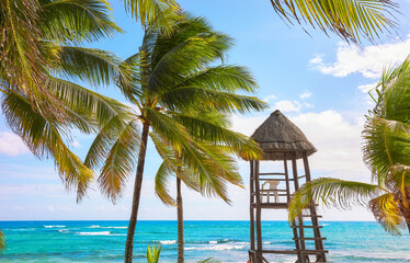Coconut palm trees and a lifeguard tower on a Caribbean beach, Mexico.