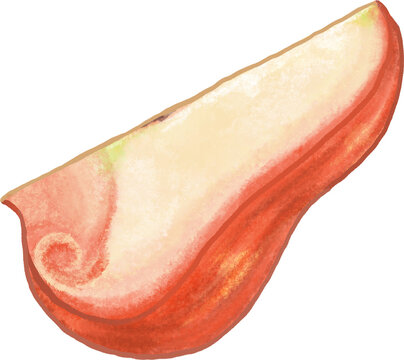 piece of Java apple illustration
