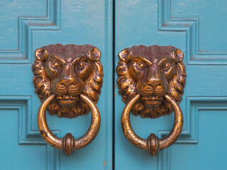 Two brass lion shaped door knockers on wooden door.